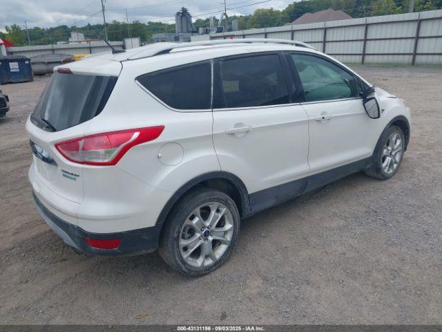 Ford Escape Titanium Image 14