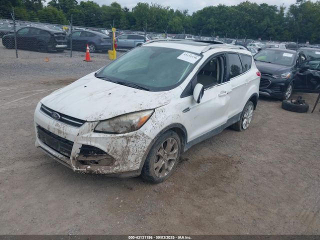 Ford Escape Titanium Image 6