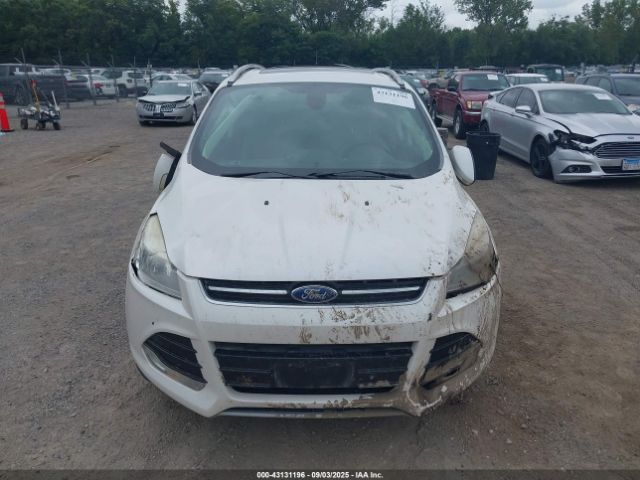 Ford Escape Titanium Image 8