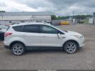 Ford Escape Titanium Image 9