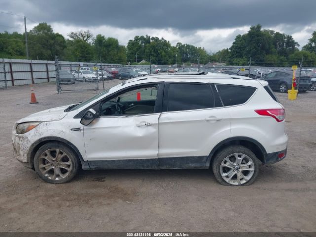 Ford Escape Titanium Image 12