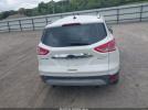 Ford Escape Titanium Image 11