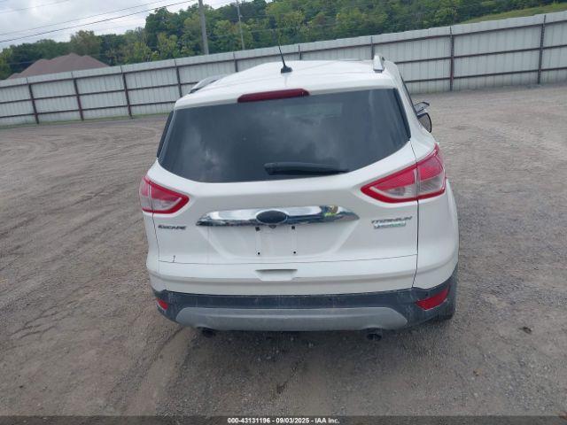 Ford Escape Titanium Image 11