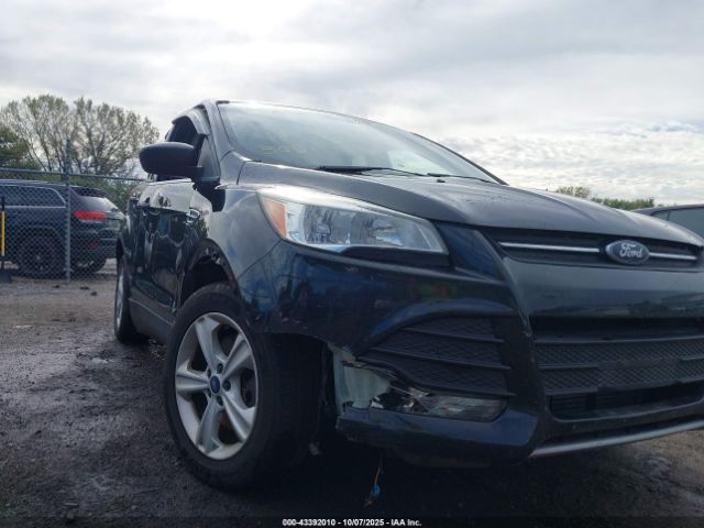Ford Escape Se Image 12