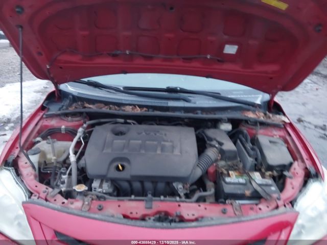 Toyota Corolla Le Image 11