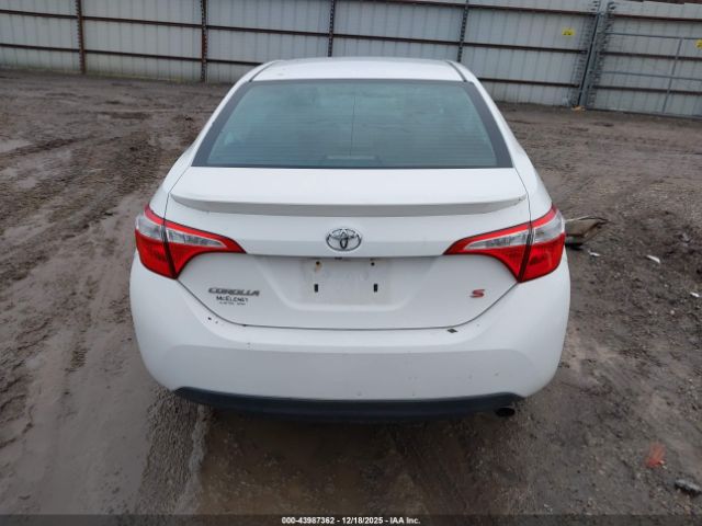 Toyota Corolla S Plus Image 15