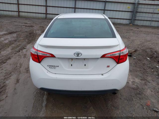 Toyota Corolla S Plus Image 15