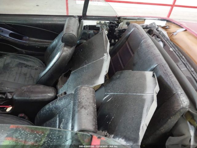 Ford Mustang Image 7