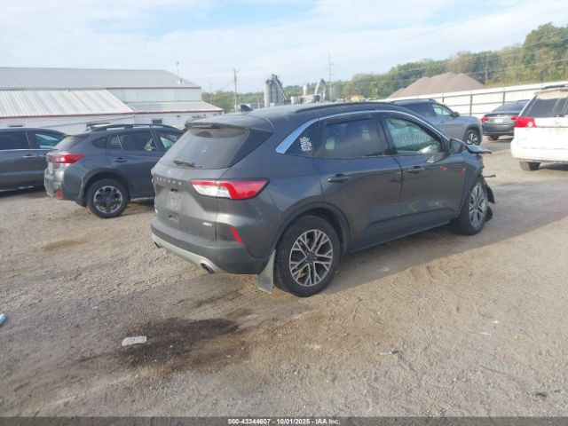 Ford Escape Sel Image 3