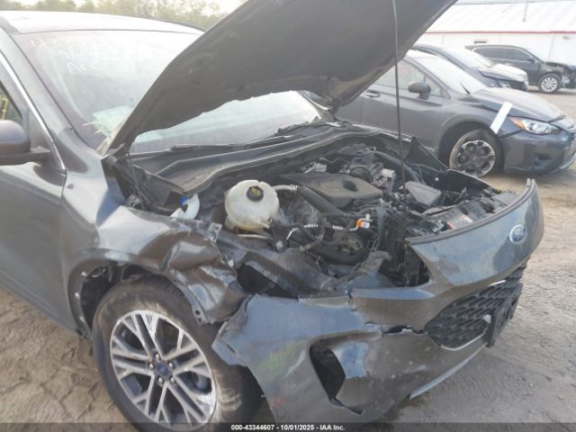 Ford Escape Sel Image 8