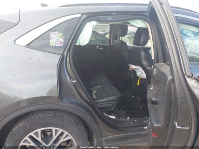 Ford Escape Sel Image 9