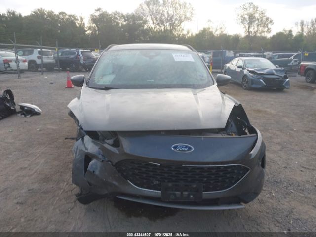 Ford Escape Sel Image 11