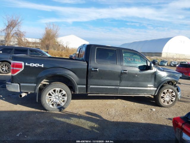 Ford F-150 Platinum Image 16
