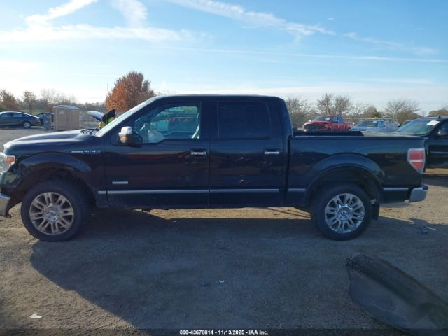 Ford F-150 Platinum Image 15