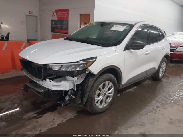 Ford Escape Active Image 6