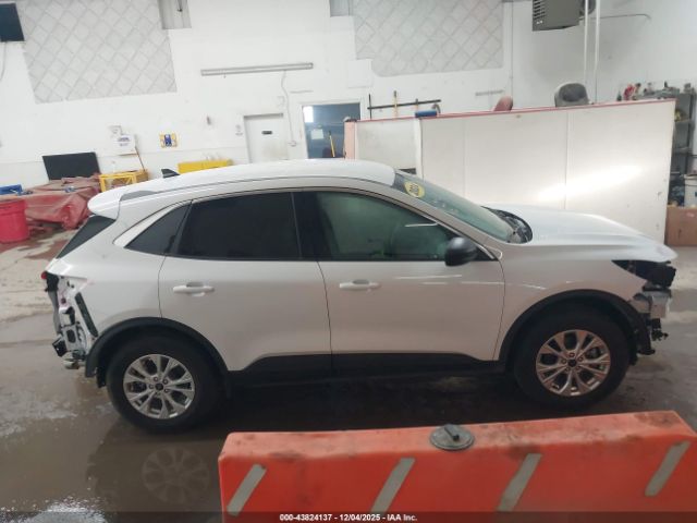 Ford Escape Active Image 13