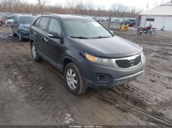  Salvage Kia Sorento