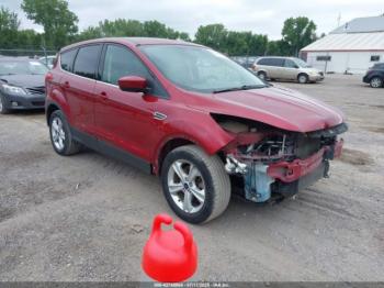  Salvage Ford Escape
