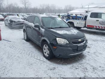  Salvage Chevrolet Captiva