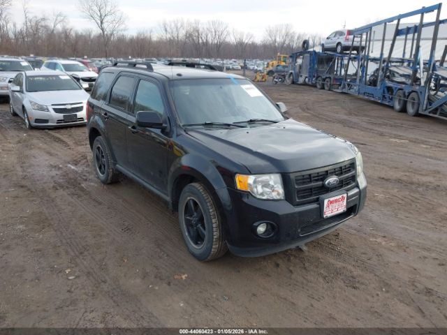 Ford Escape Xlt Image 1
